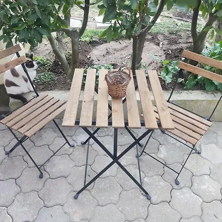 Séjour chez l'habitant Els'appart Strasbourg