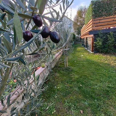 L'alsace D'antan ホームステイ ストラスブール