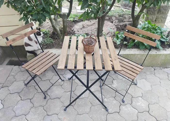 ホームステイ L'alsace D'antan ストラスブール