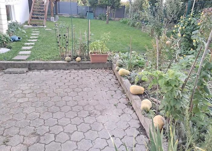 L'alsace D'antan ホームステイ *