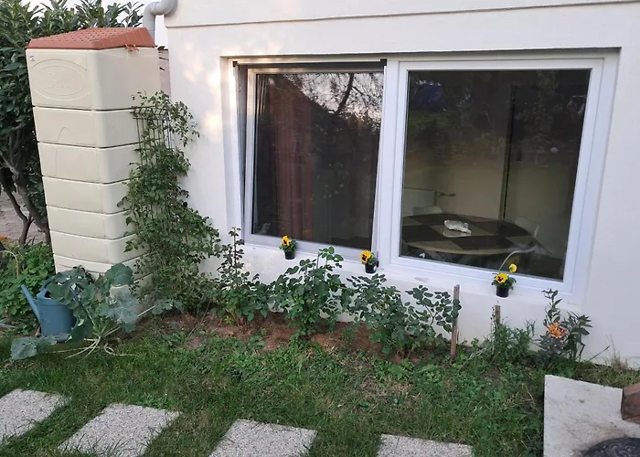 L'alsace D'antan ホームステイ *