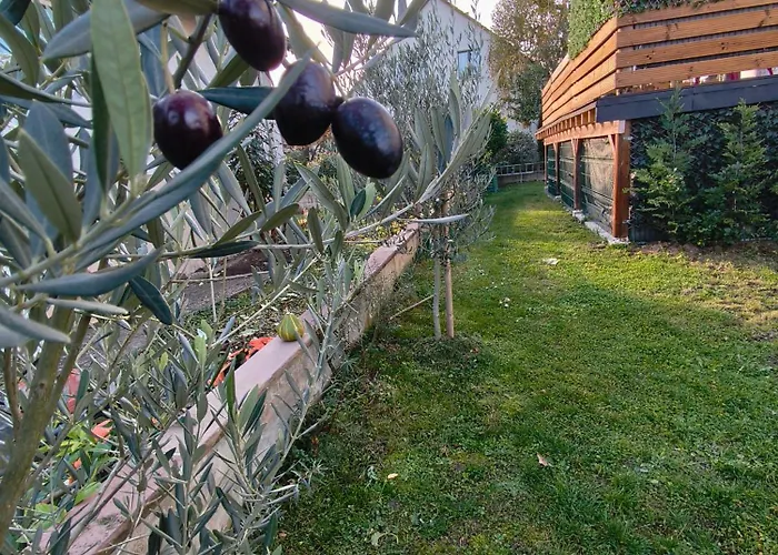 L'alsace D'antan ホームステイ ストラスブール