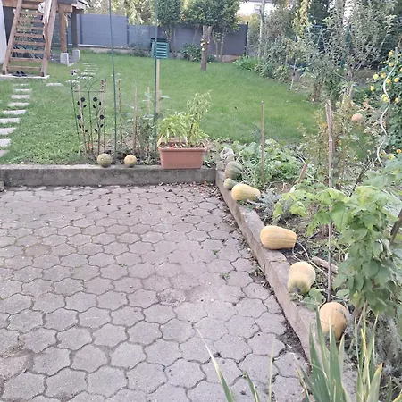 L'alsace D'antan Quarto em Acomodações Particulares *